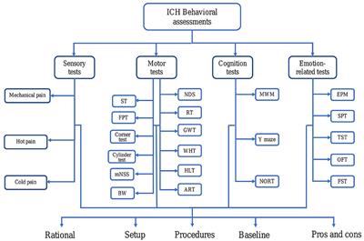 Behavioral Assessment of Sensory, Motor, Emotion, and Cognition in Rodent Models of Intracerebral Hemorrhage